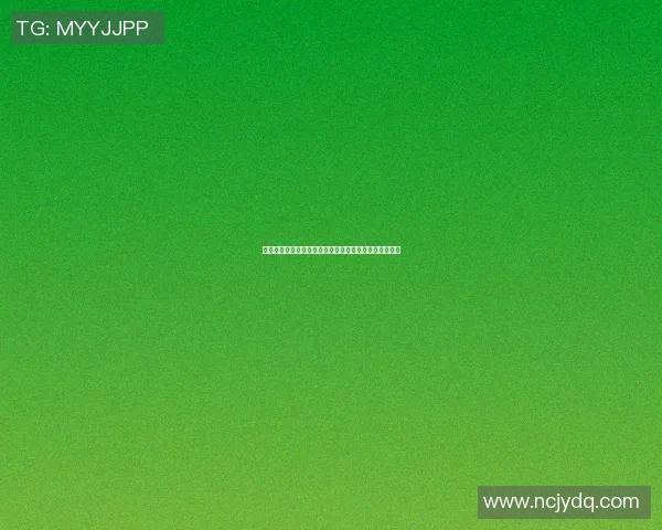 老河口足球明星阵容全揭秘精彩瞬间与荣耀时刻尽在其中