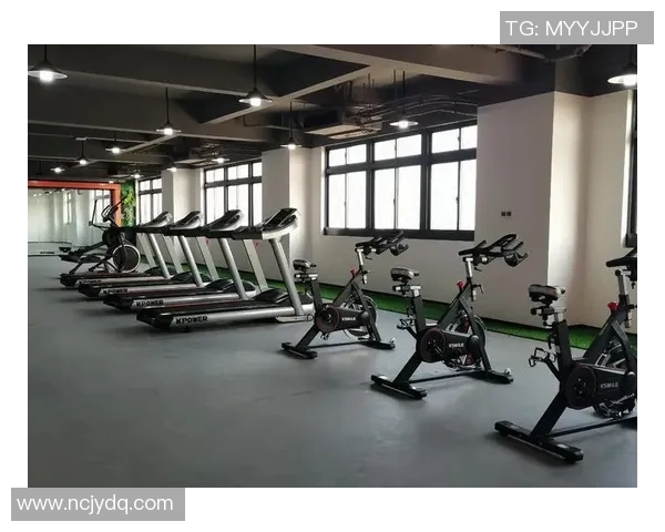 全面解析健身器材大全及其价格趋势让你轻松选择合适的健身设备