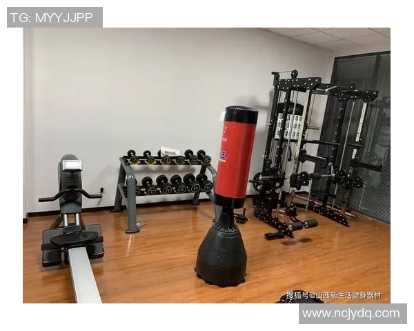 健身器材电机的选择与维护技巧助你提升锻炼效果与使用寿命