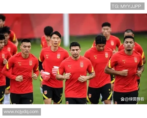 国足归化球员数量增加对中国足球发展的影响与前景分析