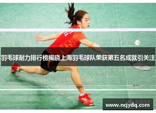 羽毛球耐力排行榜揭晓上海羽毛球队荣获第五名成就引关注