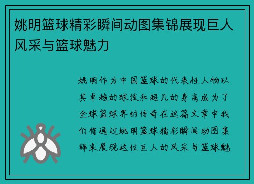 姚明篮球精彩瞬间动图集锦展现巨人风采与篮球魅力